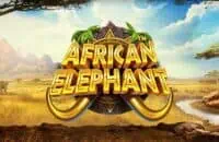 ทดลองเล่น African Elephant สล็อตค่าย Pragmatic Play ฟรี