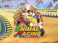 ทดลองเล่น animal racing สล็อตค่าย fachai ฟรี