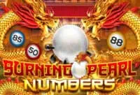 ทดลองเล่น Burning Pearl Bingo สล็อตค่าย Joker Gaming ฟรี