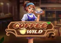 ทดลองเล่น COffee Wild สล็อตค่าย Pragmatic Play ฟรี
