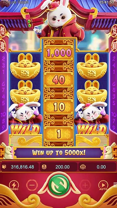 Fortune Rabbit Demo