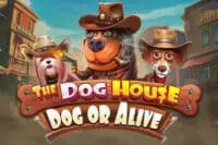 ทดลองเล่น The Dog House – Dog or Alive สล็อตค่าย Pragmatic Play ฟรี