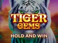 ทดลองเล่น tiger gems hold and win สล็อตค่าย booongo ฟรี