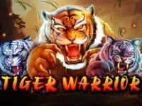 ทดลองเล่น Tiger Warrior สล็อตค่าย Spade Gaming ฟรี