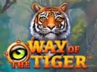 ทดลองเล่น way of the tiger สล็อตค่าย blueprint gaming ฟรี