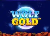 ทดลองเล่น Wolf Gold สล็อตค่าย Pragmatic Play ฟรี
